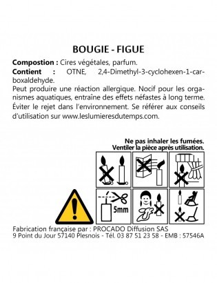 Boîte 10 bougies t-light Figue