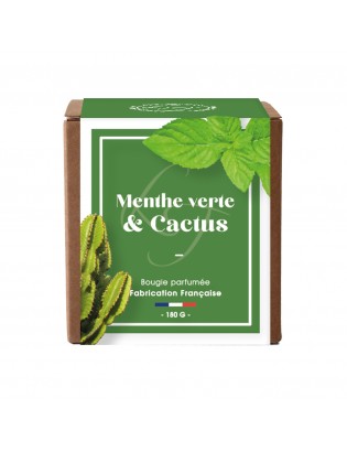 Bougie végétale 180 gr Duo Cactus & Menthe