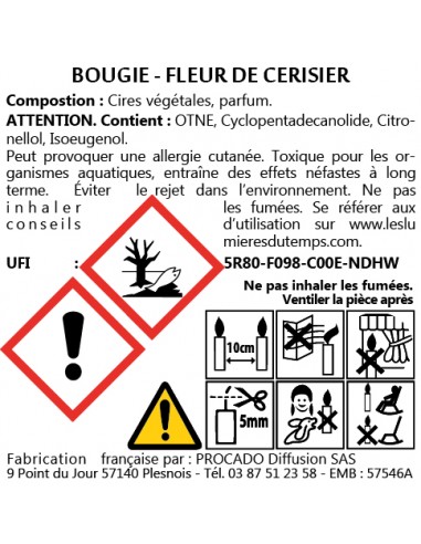 KIT BOUGIE 350gr FLEUR DE CERISIER