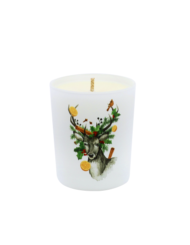 Bougie Traditions Enchantées 180 g Orange Cannelle