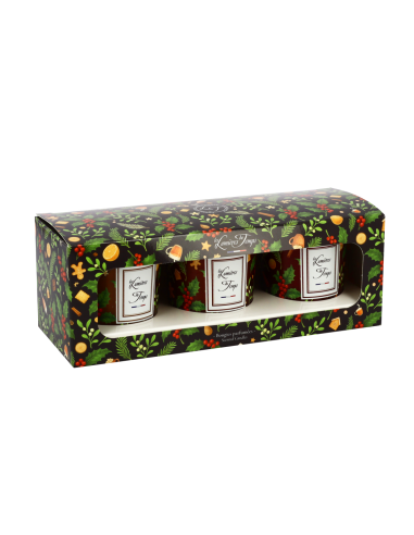 Coffret Bougies Lumières d'Hiver 3x90g Biscuits Enchantés - Pain d'Épices - Orange Cannelle