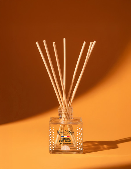 Diffuseur de Parfum 50 ml Fruits des Bois